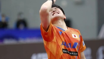 百家乐平台app-4-3绝杀日本张本智和，4-0夺冠，林昀儒背靠背冲冠，流感退赛留遗憾|多哈冠军赛|冠军赛|挑战赛|半决赛|温瑞博_新浪体育_新浪新闻