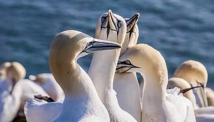 华体会官方网站——打造专业、安全、畅快的体育娱乐平台